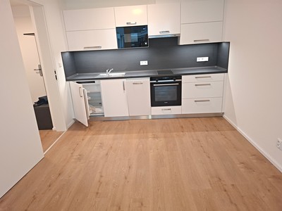 Pronájem bytu 2+kk 47 m² (Jednopodlažní)