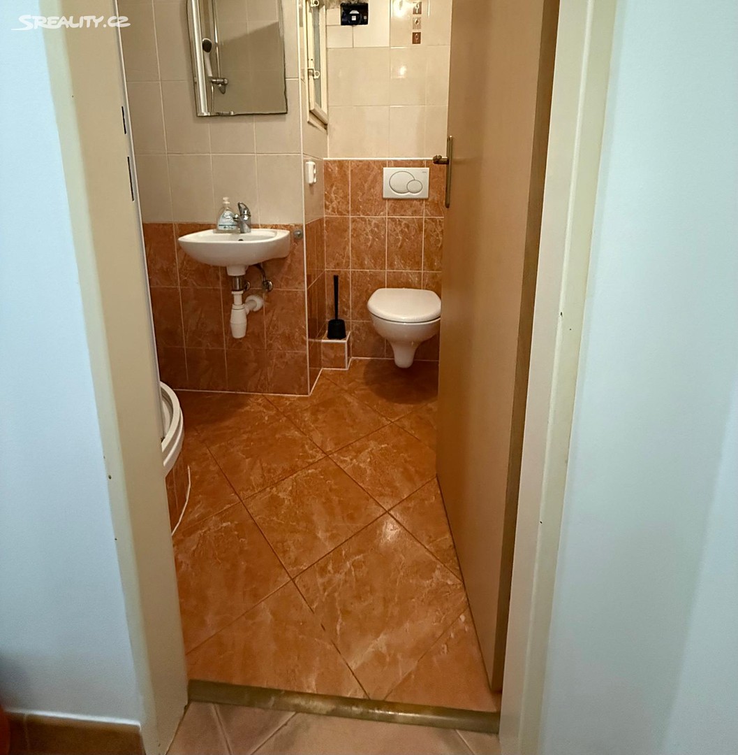 Pronájem bytu 1+kk 30 m² – další