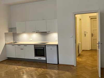 Pronájem bytu 1+kk 44 m²