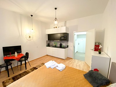 Pronájem bytu 1+kk 26 m²