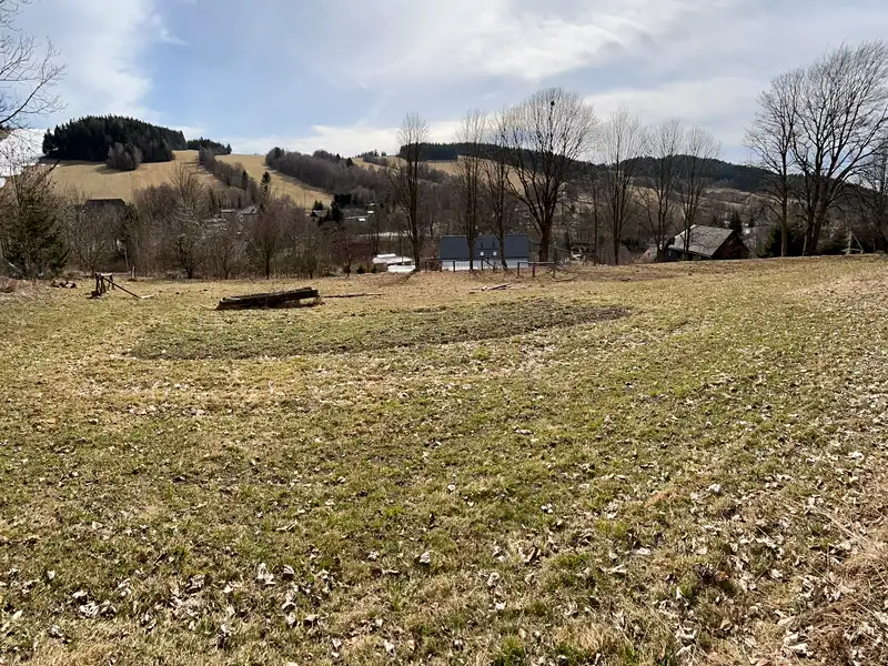 Prodej stavebního pozemku 3665 m², Čenkovice – náhled fotky 2