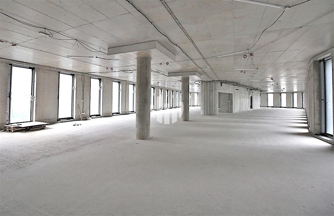 Pronájem kanceláře 447 m² – fotografie 3
