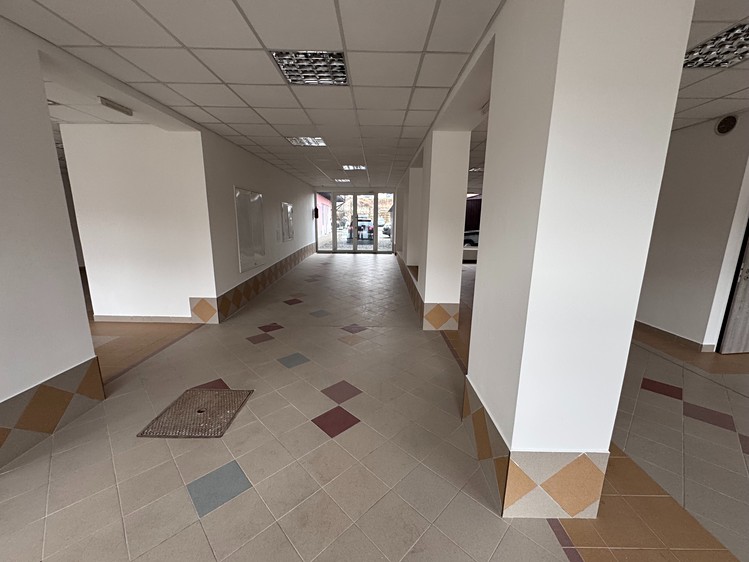 Комерційне приміщення в оренду, 232 м² (3 з 11)