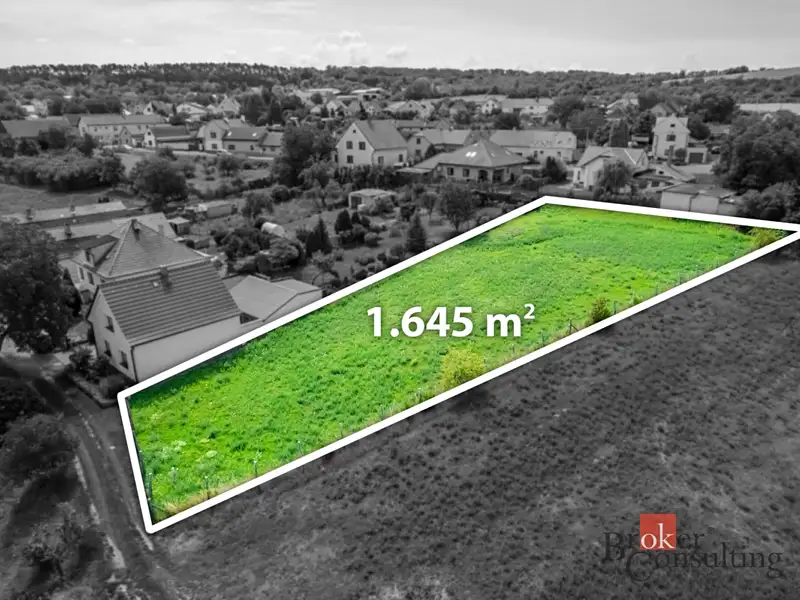 Prodej stavebního pozemku 1645 m², Bechlín – náhled fotky 1