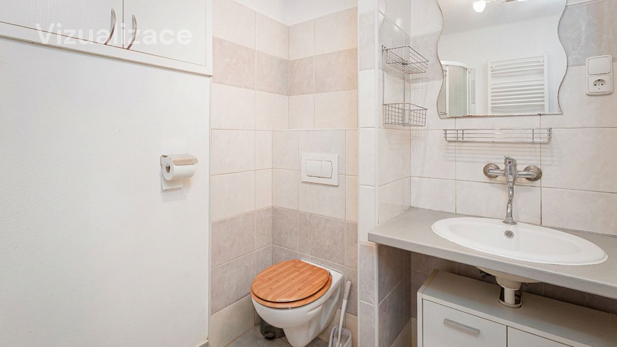 Prodej rodinného domu 266 m², pozemek 3343 m² – fotografie 5