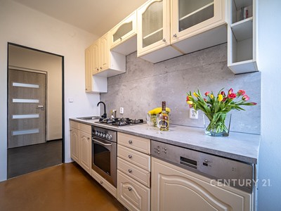 Pronájem bytu 3+1 68 m²