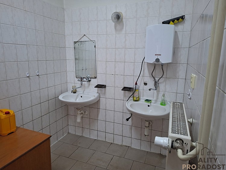 Gewerbefläche zur Miete, 230 m² (8 von 9)