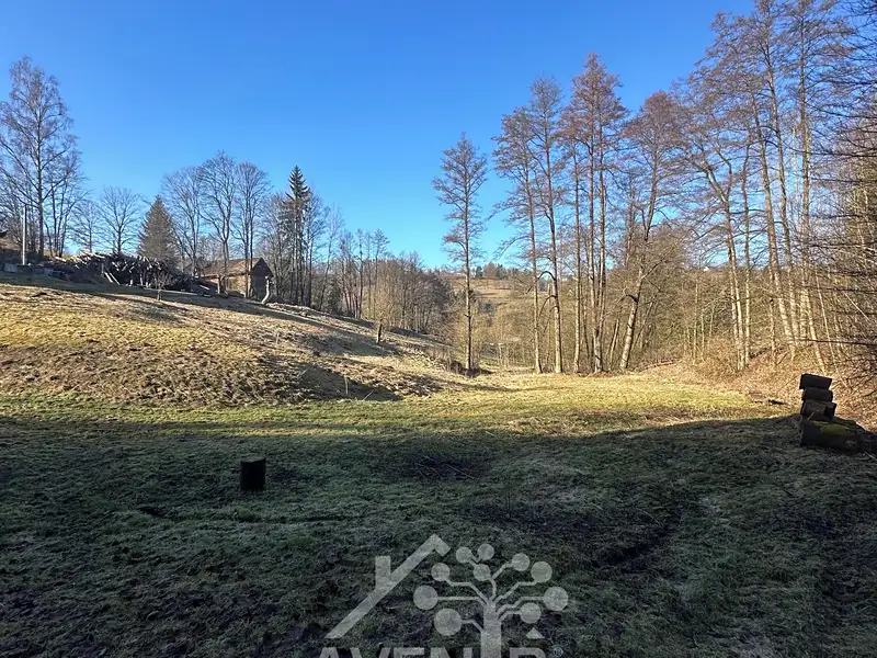 Prodej louky 5815 m², Bozkov – náhled fotky 1