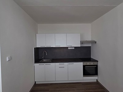 Pronájem bytu 3+1 55 m²