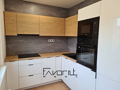 Pronájem bytu 2+1 55 m²