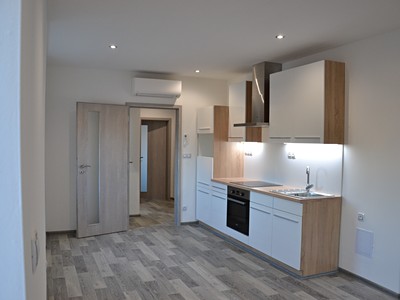 Pronájem bytu 3+kk 56 m² (Jednopodlažní)