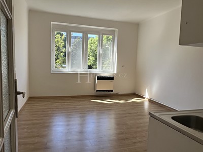 Pronájem bytu 1+kk 31 m² (Jednopodlažní)