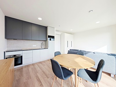 Pronájem bytu 1+kk 35 m² (Jednopodlažní)