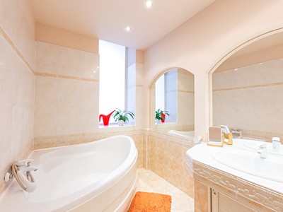 Pronájem bytu 1+1 66 m² (Jednopodlažní)