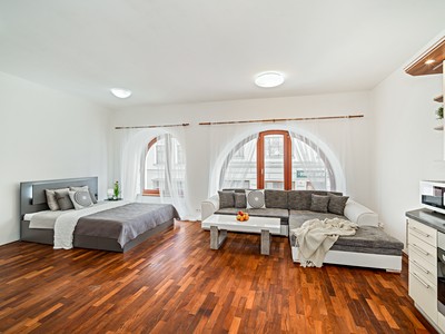 Pronájem bytu 1+kk 55 m² (Jednopodlažní)