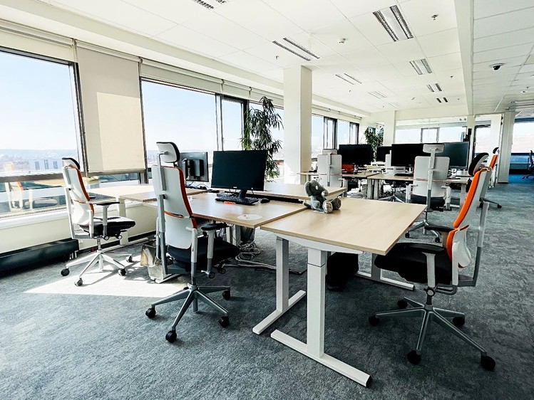 Pronájem komerčního prostoru, 640 m² (4 z 6)