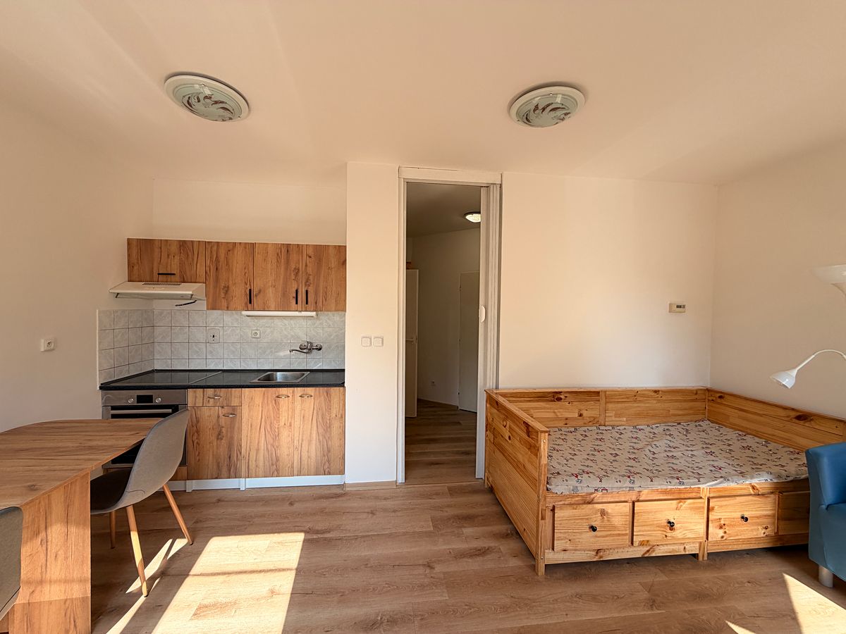Pronájem bytu 1+kk 26 m²