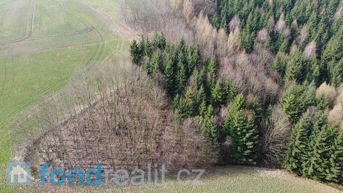 Prodej pole 7831 m² – fotografie 3