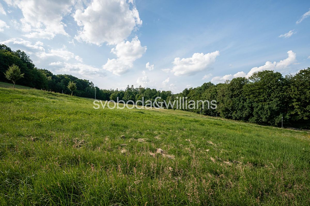 Prodej stavebního pozemku 4226 m² – fotografie 3