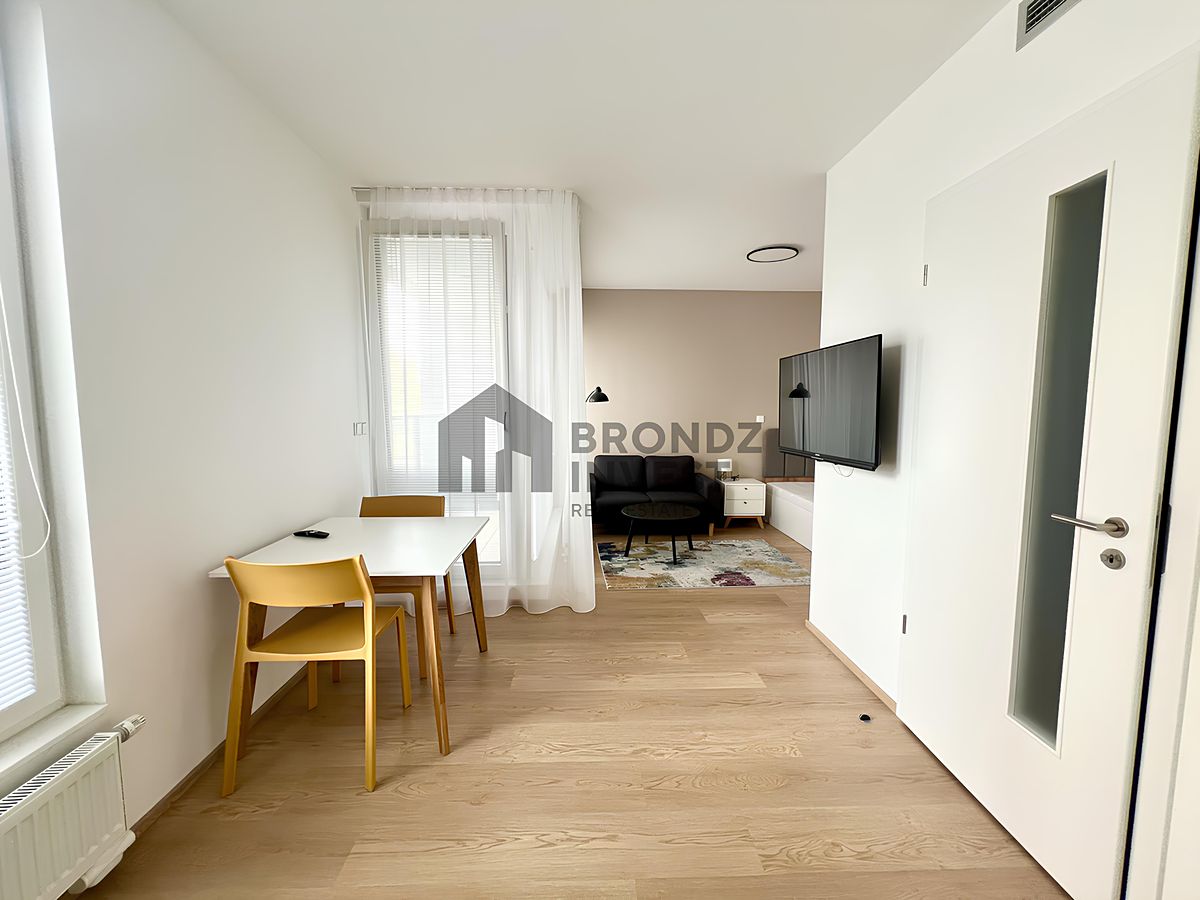 Pronájem bytu 1+kk 33 m² – fotografie 4