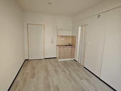 Pronájem bytu 1+kk 20 m² (Jednopodlažní)