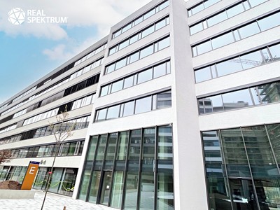 Pronájem kanceláře 123 m²