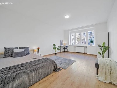 Pronájem  pokoje 22 m² (Jednopodlažní)