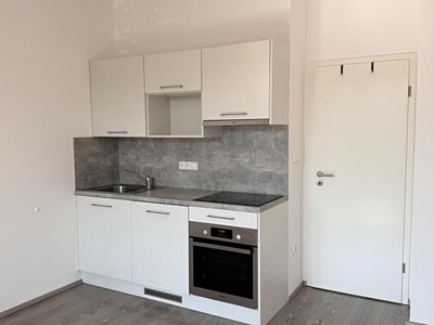 Pronájem bytu 1+kk 28 m² (Jednopodlažní)