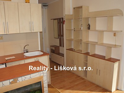 Pronájem bytu 1+1 36 m²