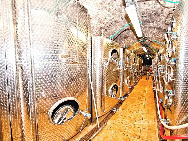 Prodej komerční nemovitosti 200 m², Strachotín – náhled fotky 1