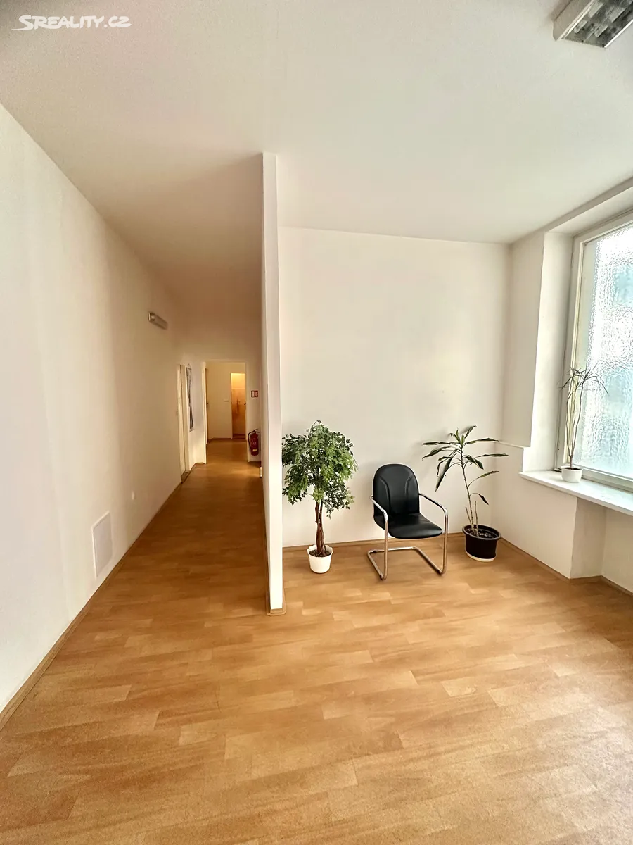 Pronájem kanceláře 9 m² - Widok 6