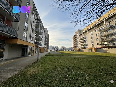 Pronájem bytu 4+kk 131 m²