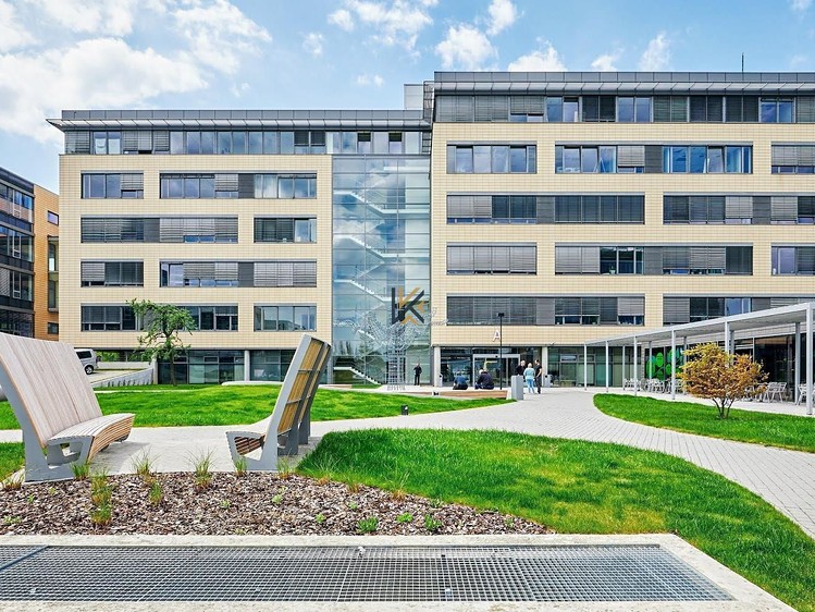 Gewerbefläche zur Miete, 250 m² (6 von 11)