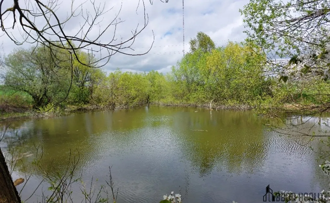 Prodej rybníku (vodní plochy) 12045 m² — fotografie 6