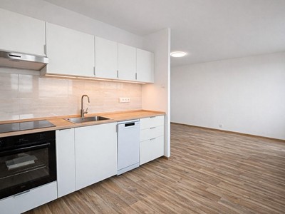 Pronájem bytu 4+1 88 m² (Jednopodlažní)