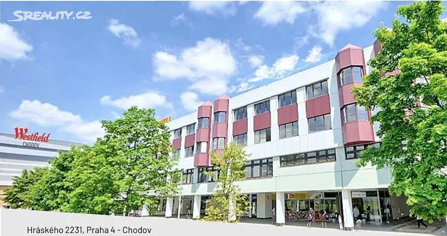 Pronájem obchodního prostoru 987 m²