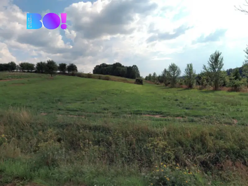 Prodej pole 5908 m², Veletiny – náhled fotky 2