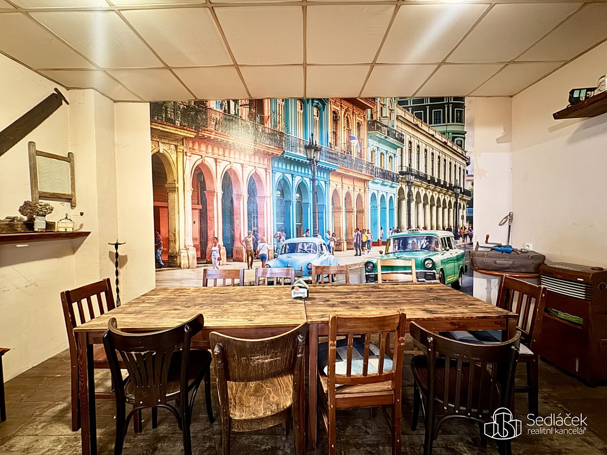 Pronájem obchodního prostoru 166 m² – fotografie 3