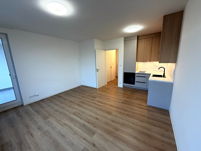 Pronájem bytu 1+kk 39 m²