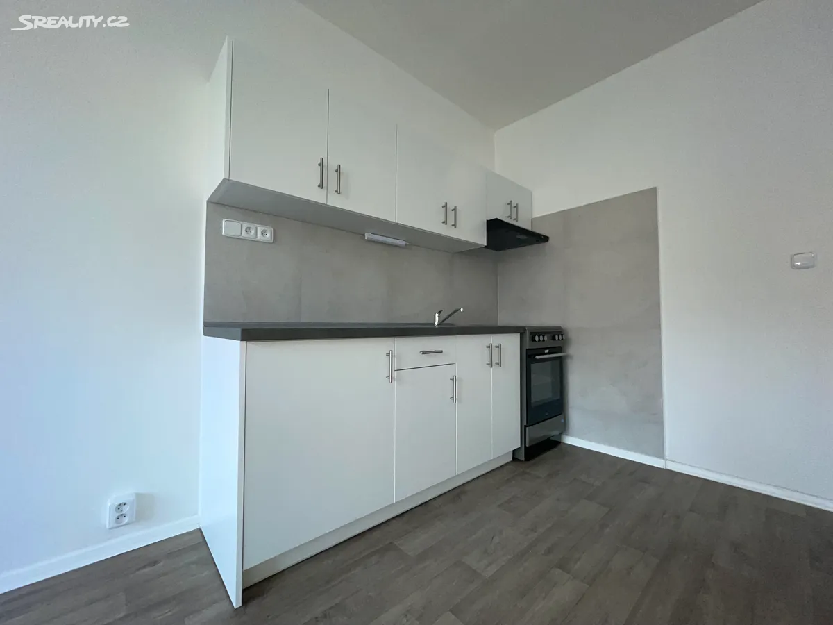 Pronájem bytu 1+kk 26 m², Ústí nad Labem