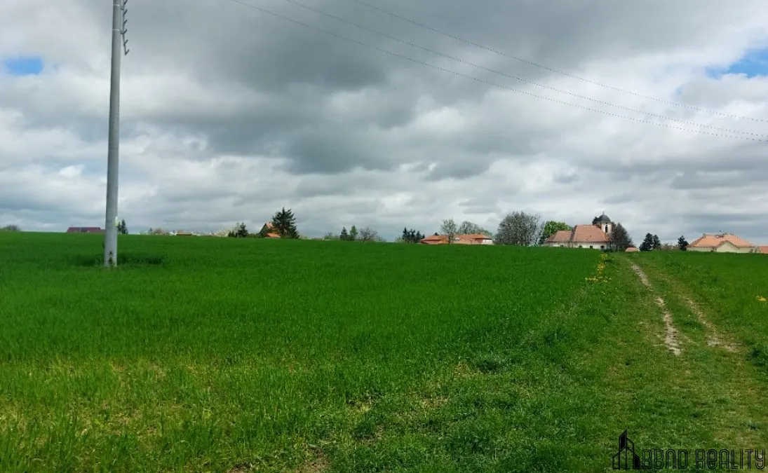Prodej rybníku (vodní plochy) 12045 m² — fotografie 4