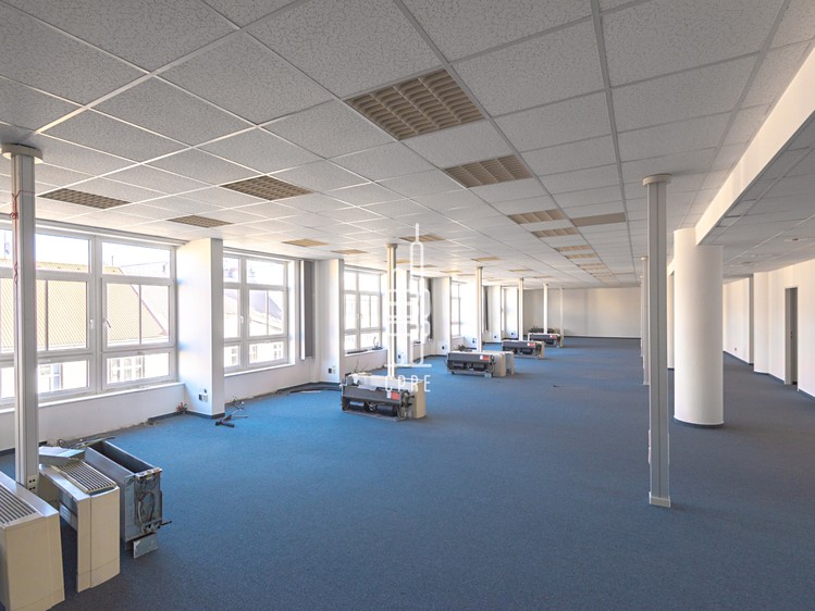 Pronájem komerčního prostoru, 200 m² (2 z 10)