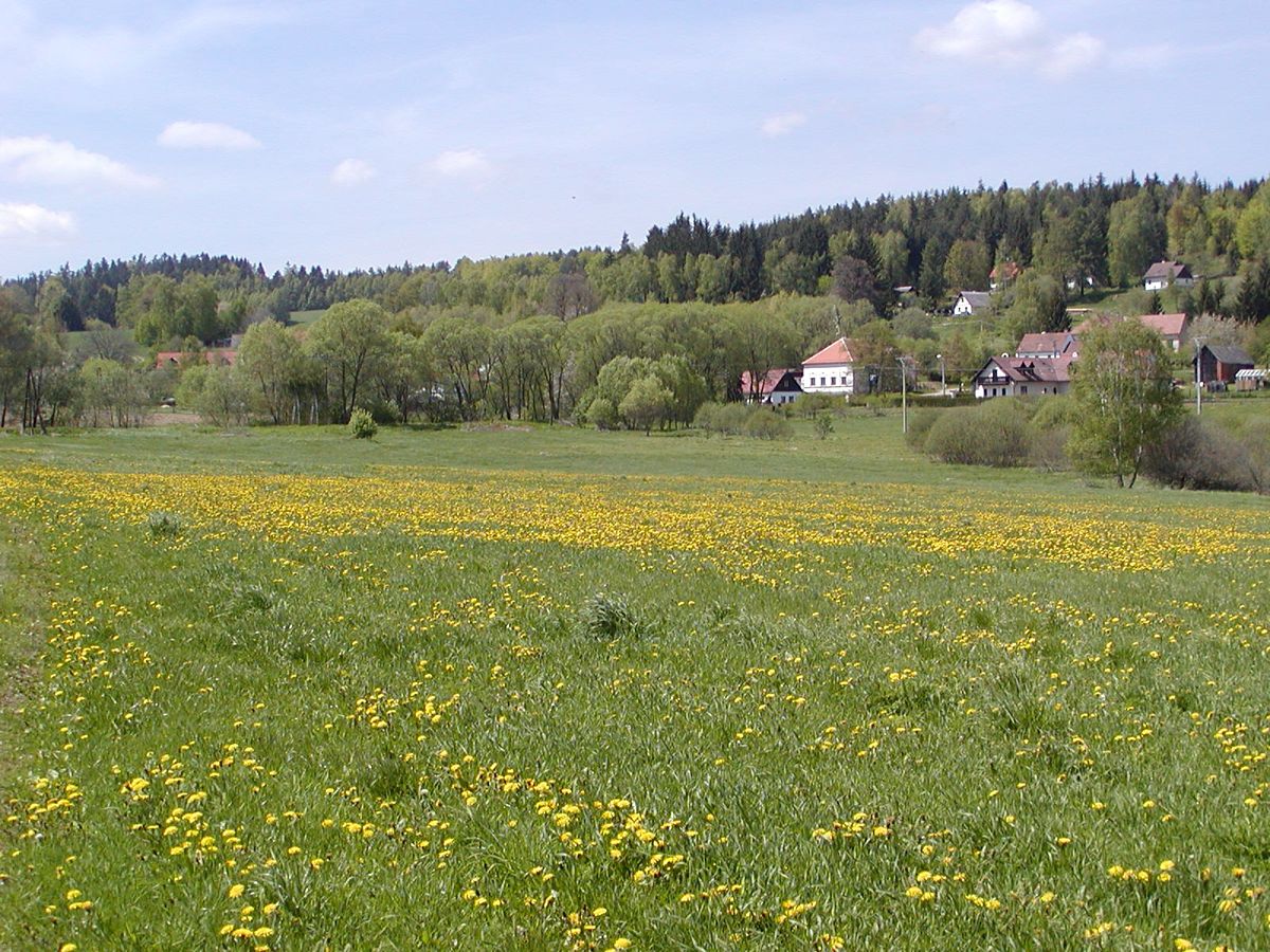 Prodej stavebního pozemku 48837 m²