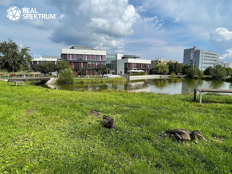 Gewerbefläche zur Miete, 250 m² (51 von 55)