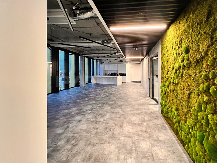 Gewerbefläche zur Miete, 447 m² (5 von 13)