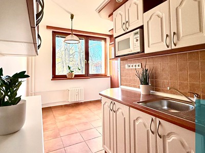 Pronájem bytu 2+1 53 m²