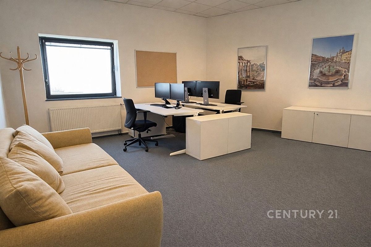 Pronájem kanceláře 450 m² – fotografie 3