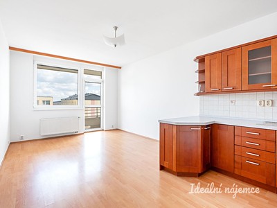 Pronájem bytu 2+kk 45 m²