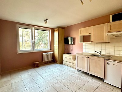 Pronájem bytu 1+kk 21 m² (Jednopodlažní)