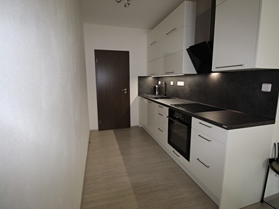 Pronájem bytu 1+kk 41 m² (Jednopodlažní)